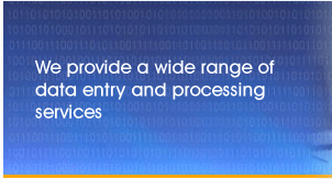 data entry india